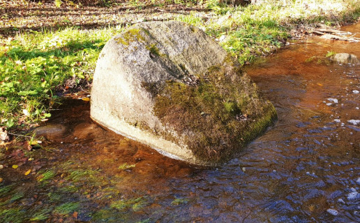21_Akmuo su pėda Lietuvos Šveicarijoje.jpg